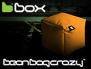 Bean Bag Crazy - b-Box Polyurethane Bean Bag Box