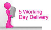 5 Day Delivery Service