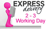 1 Man 2 - 3 Day Express Delivery Service